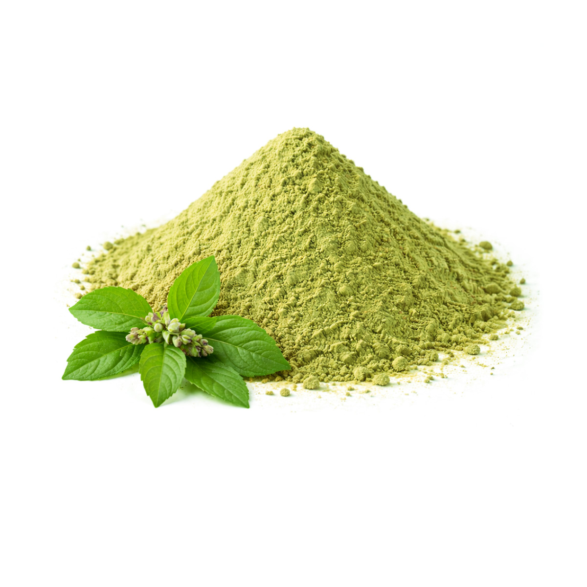 Tulsi Powder