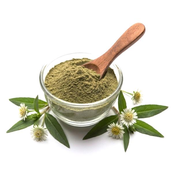 Bhringraj Powder