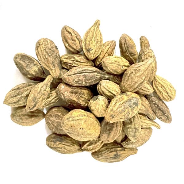 Dried Harad