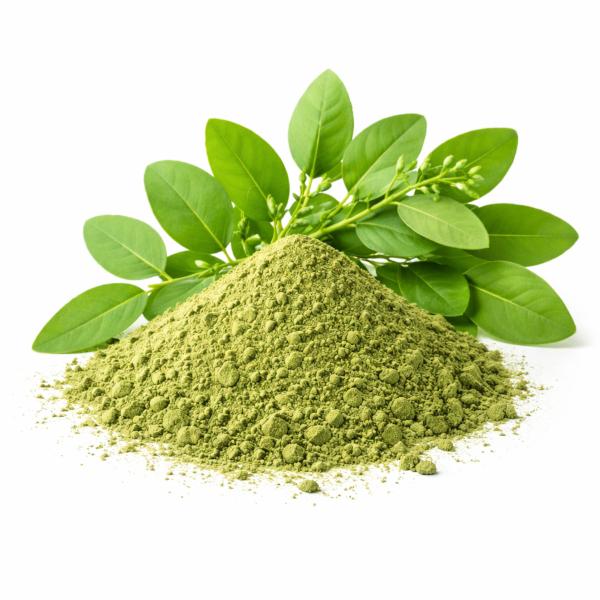 Indigo Powder